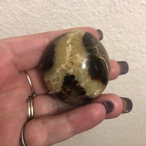 Septarian Palm Stone - Approx: 1.79”